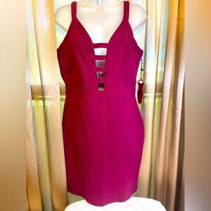 NWT HAUTE MONDE Bodycon Dress SIZE XL magenta